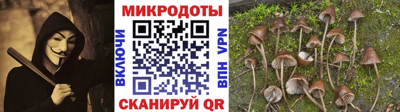 Купить  Киржач  Псилоцибиновые грибы Psilocybine cubensis 