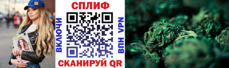 Купить закладки  Киржач  Канабис план 